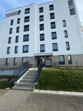 Lawender 29 in Danzig
